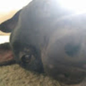 Meet your Posher, Naomie